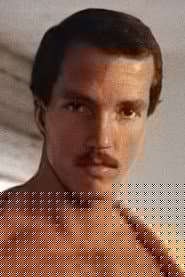 Dale Stephens