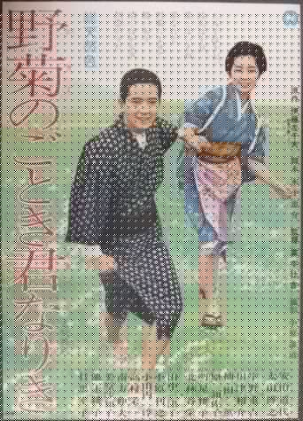 野菊のごとき君なりき