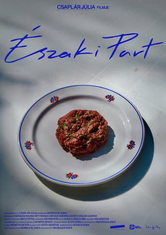 Északi part