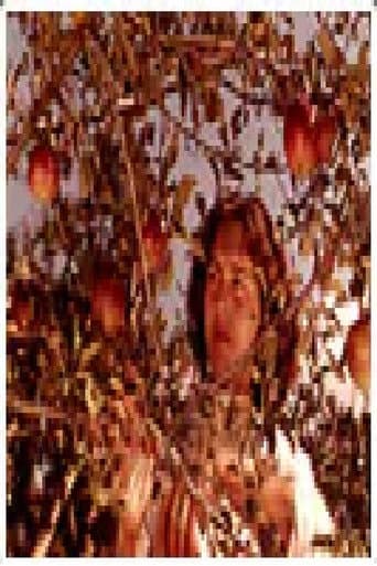 Полог (економски преглед)