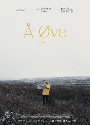 Å øve