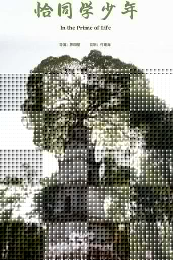 恰同学少年