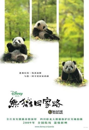Panda on the Way Home