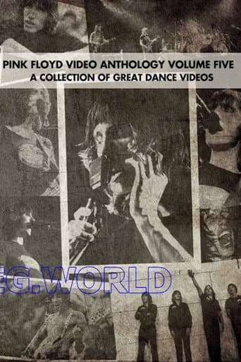 Pink Floyd: Video Anthology Vol. 5