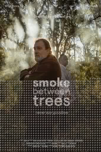 Smoke Between Trees