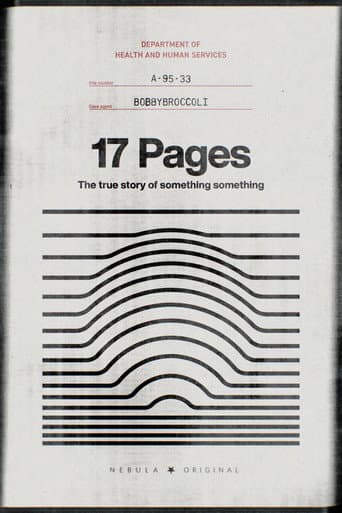 17 Pages