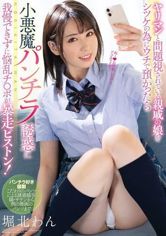 ヤリマンと問題視されている親戚の娘をシツケの為にウチで預かったら 小悪魔パンチラ誘惑に我慢できずに悩乱チ●ポが暴走ピストン！ 堀北わん