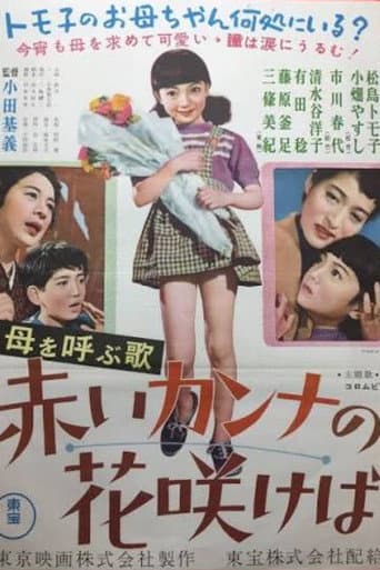 赤いカンナの花咲けば