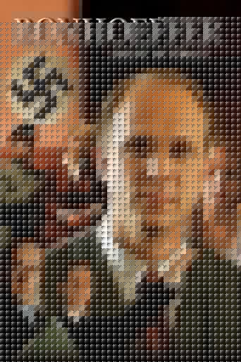 Agent spécial Bonhoeffer