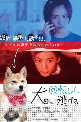 犬、回転して、逃げる