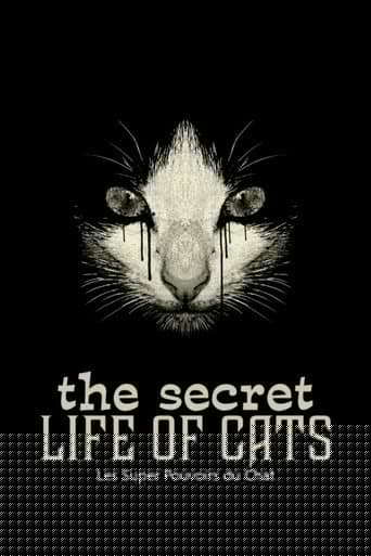 Les Super Pouvoirs du chat