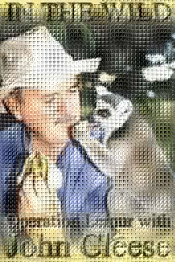 In The Wild: Operation Lemur With John Cleese