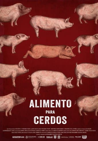 Alimento para cerdos