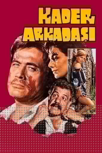 Kader Arkadaşı