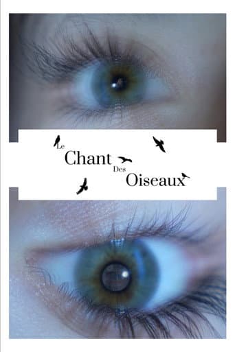 Le Chant Des Oiseaux