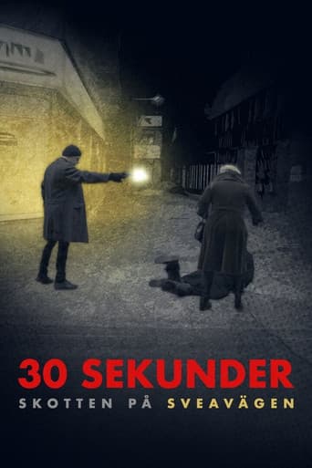 30 sekunder: Skotten på Sveavägen