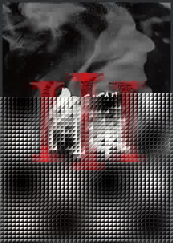 角頭3