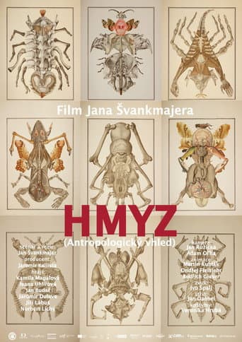 Hmyz