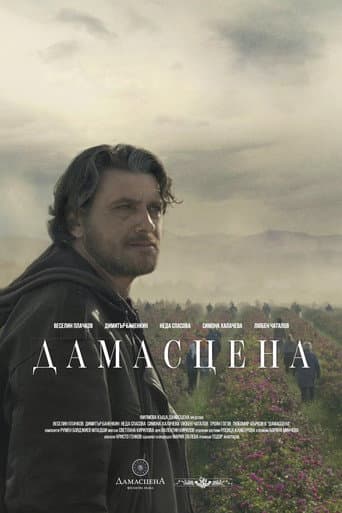 Damascena: The Transition