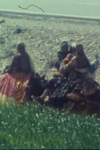 گلیم قشقایی