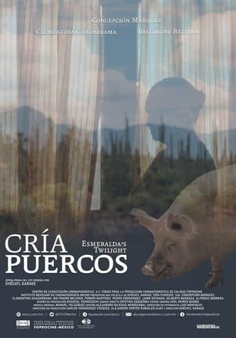 Cría puercos