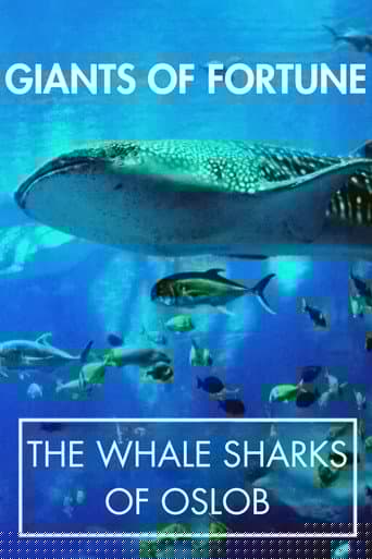 Giants of Fortune: The Whale Sharks of Oslob