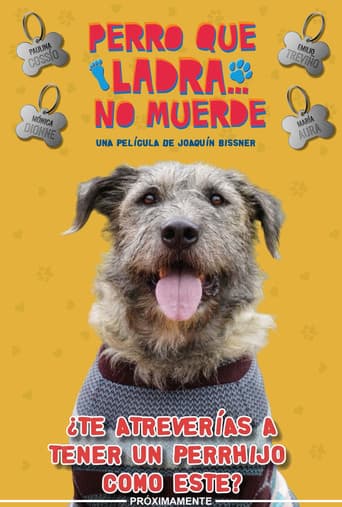 Perro Que Ladra... No Muerde