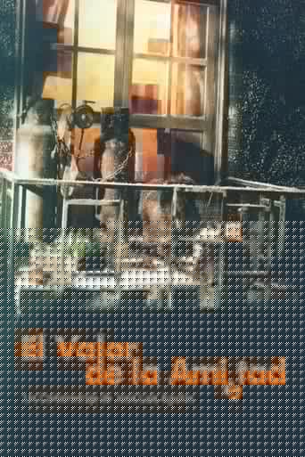 El valor de la amistad