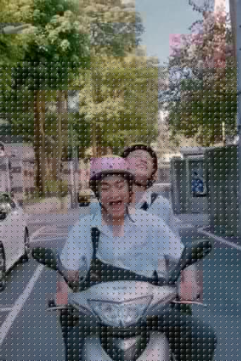 拉格朗日什麼辦法
