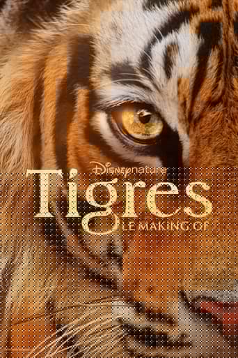 Tigres : le making of