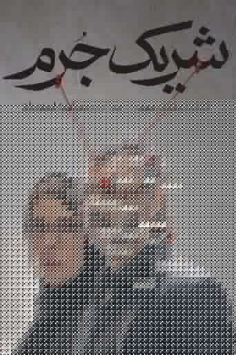 شریک جرم