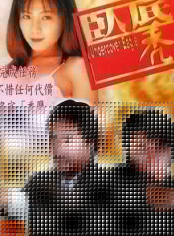 臥底禿鷹