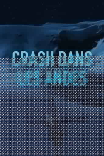 Crash dans les Andes