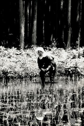 The Japanese Part 3: Farm Song