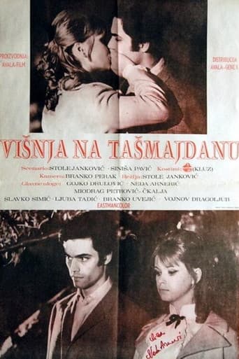 Вишња на Ташмајдану
