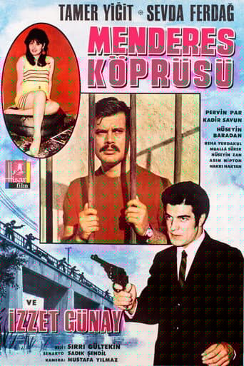 Menderes Köprüsü