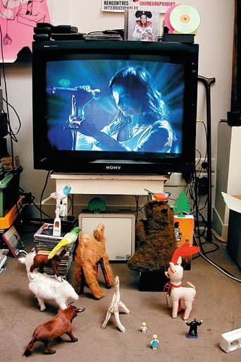 Bjork - Live At Cambridge