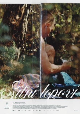 Sitni lopovi