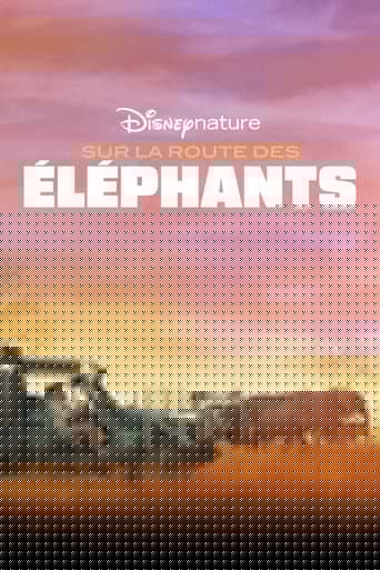 Sur la route des éléphants