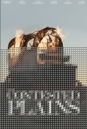 The Contested Plains