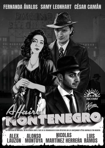 Affaire Montenegro