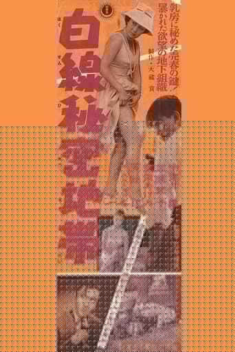 白線秘密地帯