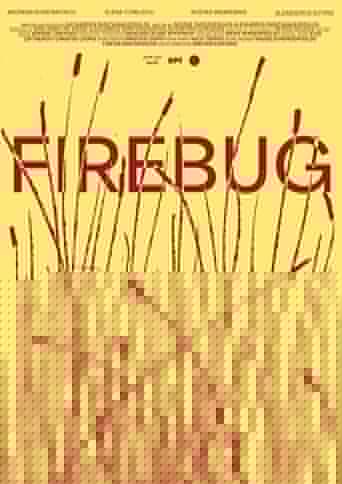 Firebug