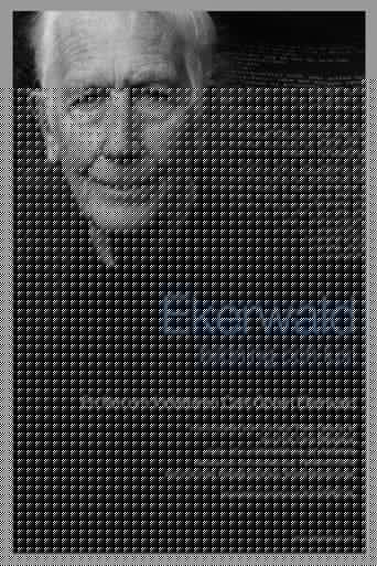 Ekerwald - bildning och lust