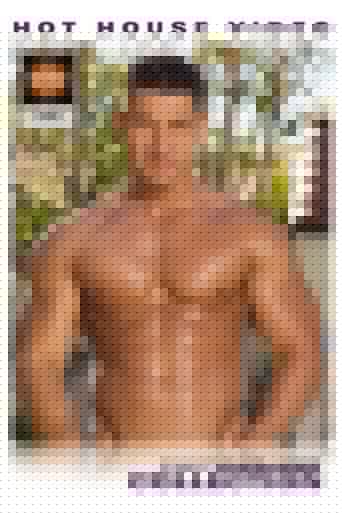 Robert van Damme Collection