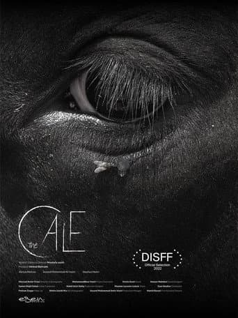 The Calf