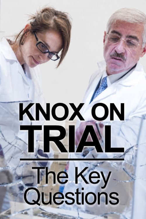 Amanda Knox Trial: 5 Key Questions