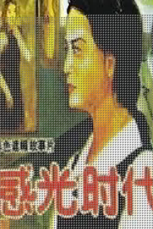 感光时代