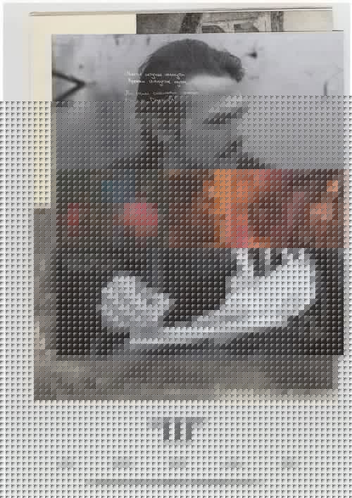III