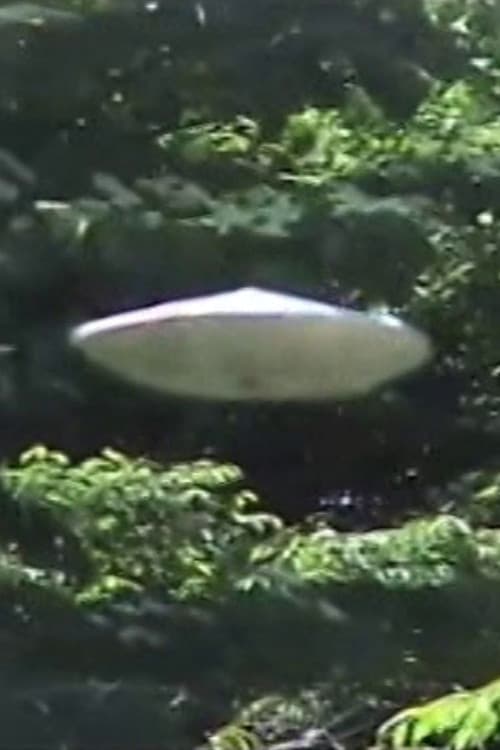 ブチョウとUFOごっこ